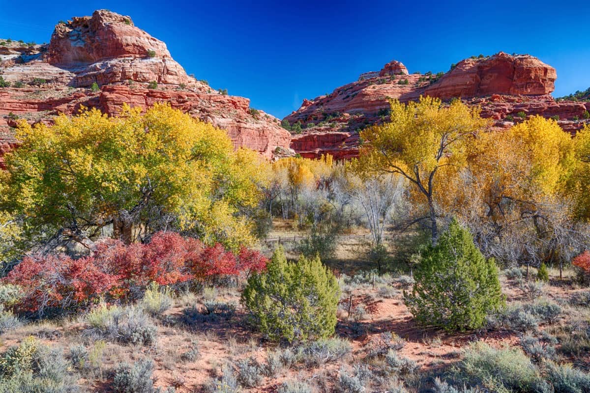 Grand Staircase Escalante National Monument